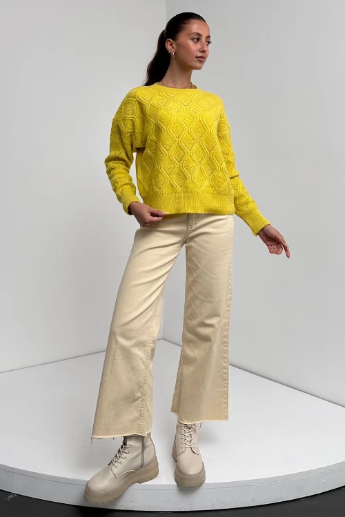 Sarı Bisiklet Yaka Desenli Dokulu Triko Kazak BC24A1002