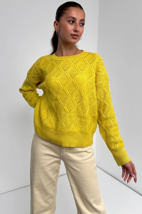 Sarı Bisiklet Yaka Desenli Dokulu Triko Kazak BC24A1002