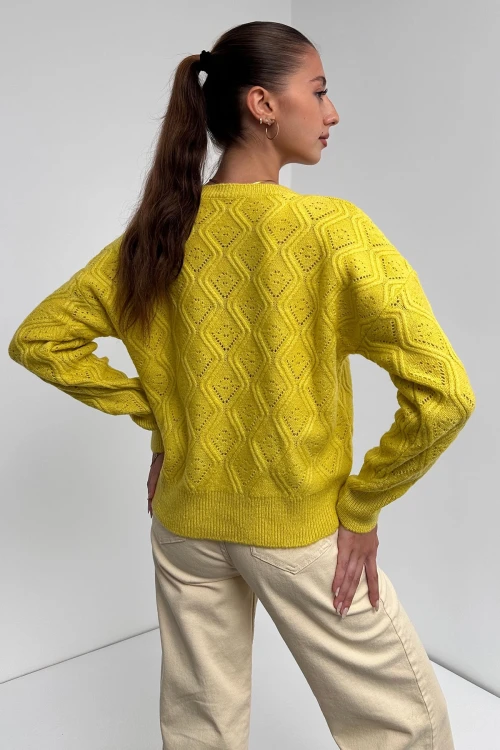 Sarı Bisiklet Yaka Desenli Dokulu Triko Kazak BC24A1002