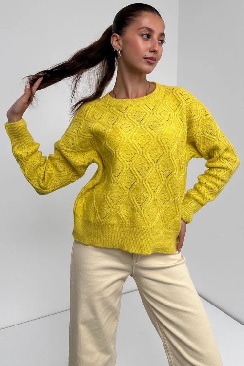 Sarı Bisiklet Yaka Desenli Dokulu Triko Kazak BC24A1002