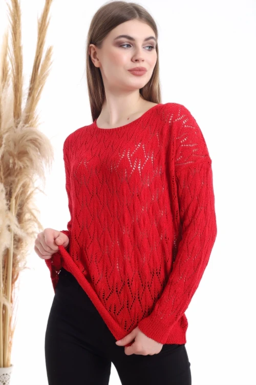 Kırmızı Bisiklet Yaka Ajurlu Triko Bluz CO-2520516177