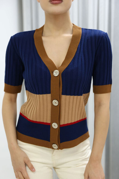 Lacivert V Yaka Renk Bloklu Düğmeli Triko Bluz BCES-252013