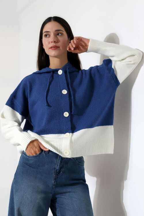 Mavi Renk Bloklu Kapüşonlu Düğmeli Triko Hırka BCES-252017