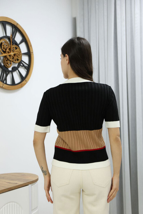 Siyah V Yaka Renk Bloklu Düğmeli Triko Bluz BCES-252013