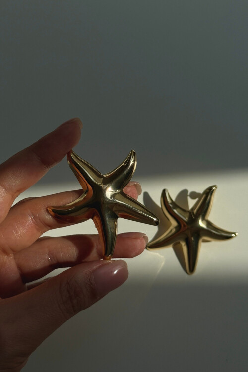 Çelik Deniz Yıldızı Kadın Küpe BCYJ-251032